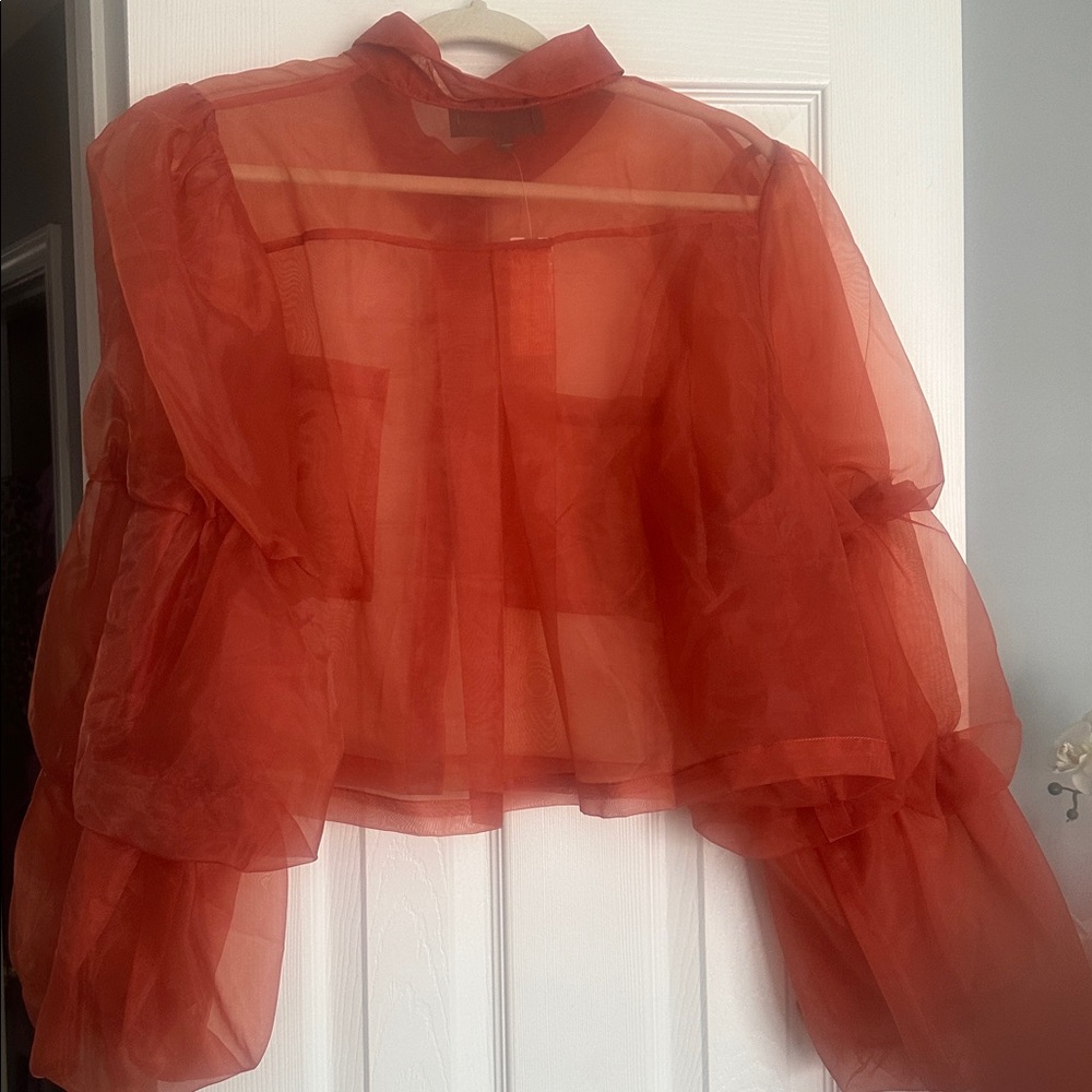Anthropologie Sunday in Brooklyn Sheer Puff-Sleeve Buttondown Shirt